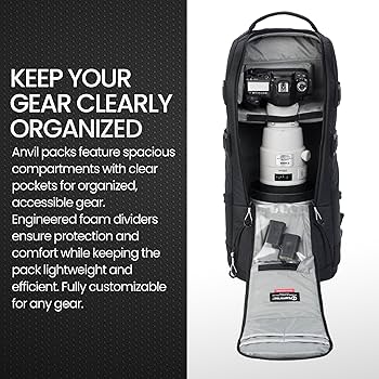 Amazon.com : Tamrac Anvil Super 25 Camera Backpack for